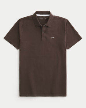 Chemise Hollister Marrón con Icono