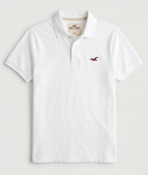 Chemise Hollister Clásica con Icono